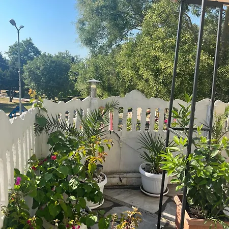 за гости бела 아크토폴