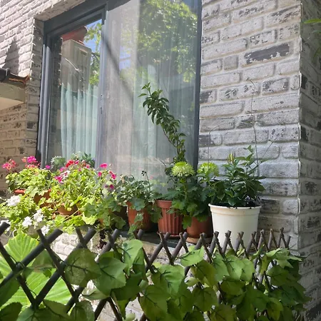 за гости бела 게스트하우스