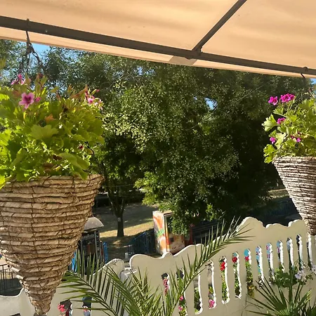 за гости бела *