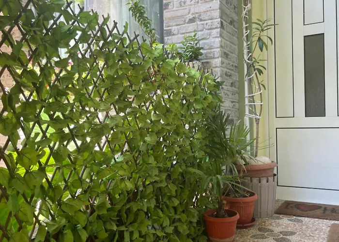 Къща за гости за гости бела