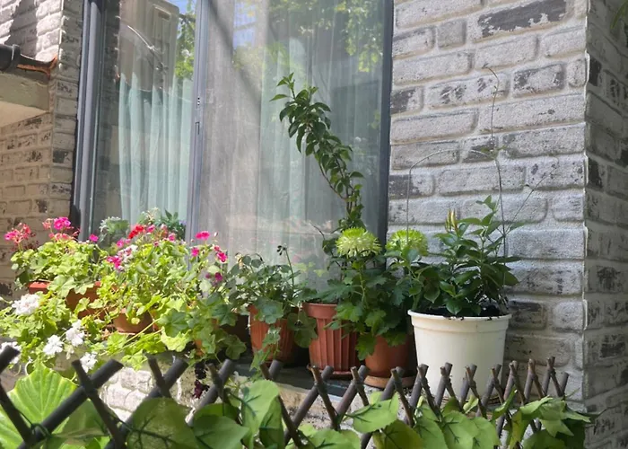 за гости бела Къща за гости