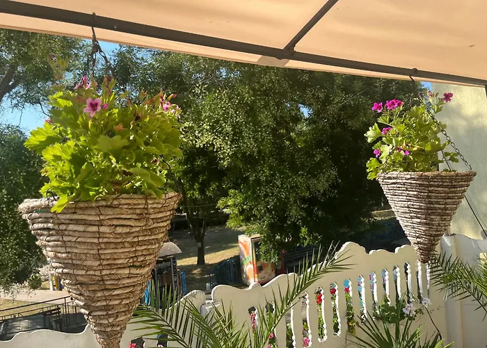 за гости бела *